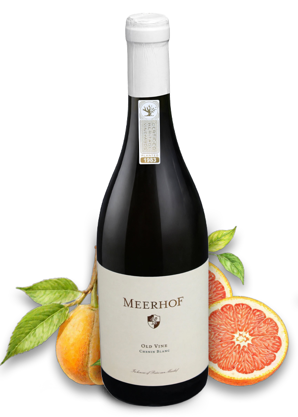 Chenin Blanc Old Vine 2025